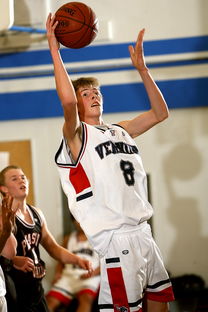 乐鱼体育平台官网-中国青少年篮球发展区域差异及均衡发展策略研究，《中国青少年篮球训练教学大纲》