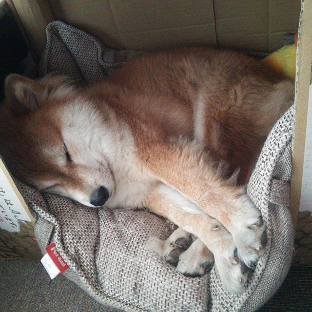 “天府校区体育馆:台球赛场成为2025年世界运动会亮点”