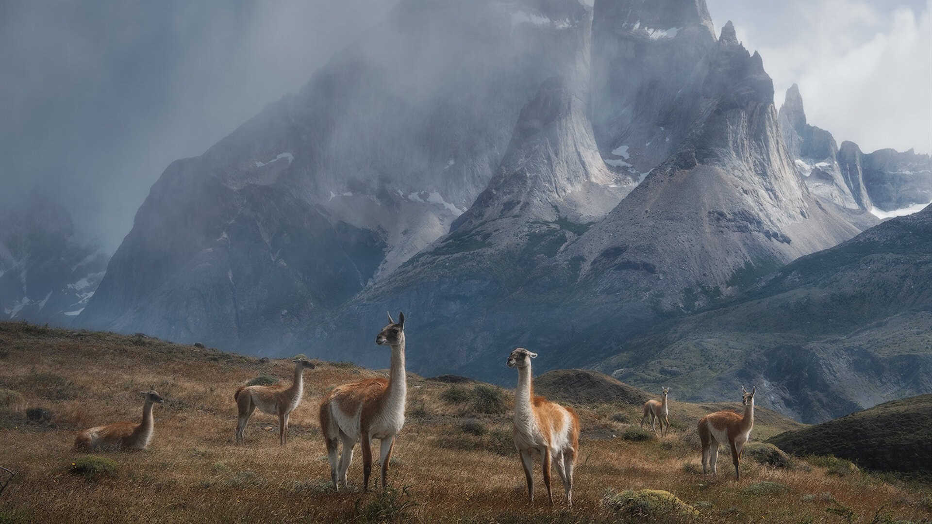 国家队技术分析小组扩大编制强化战术反馈机制