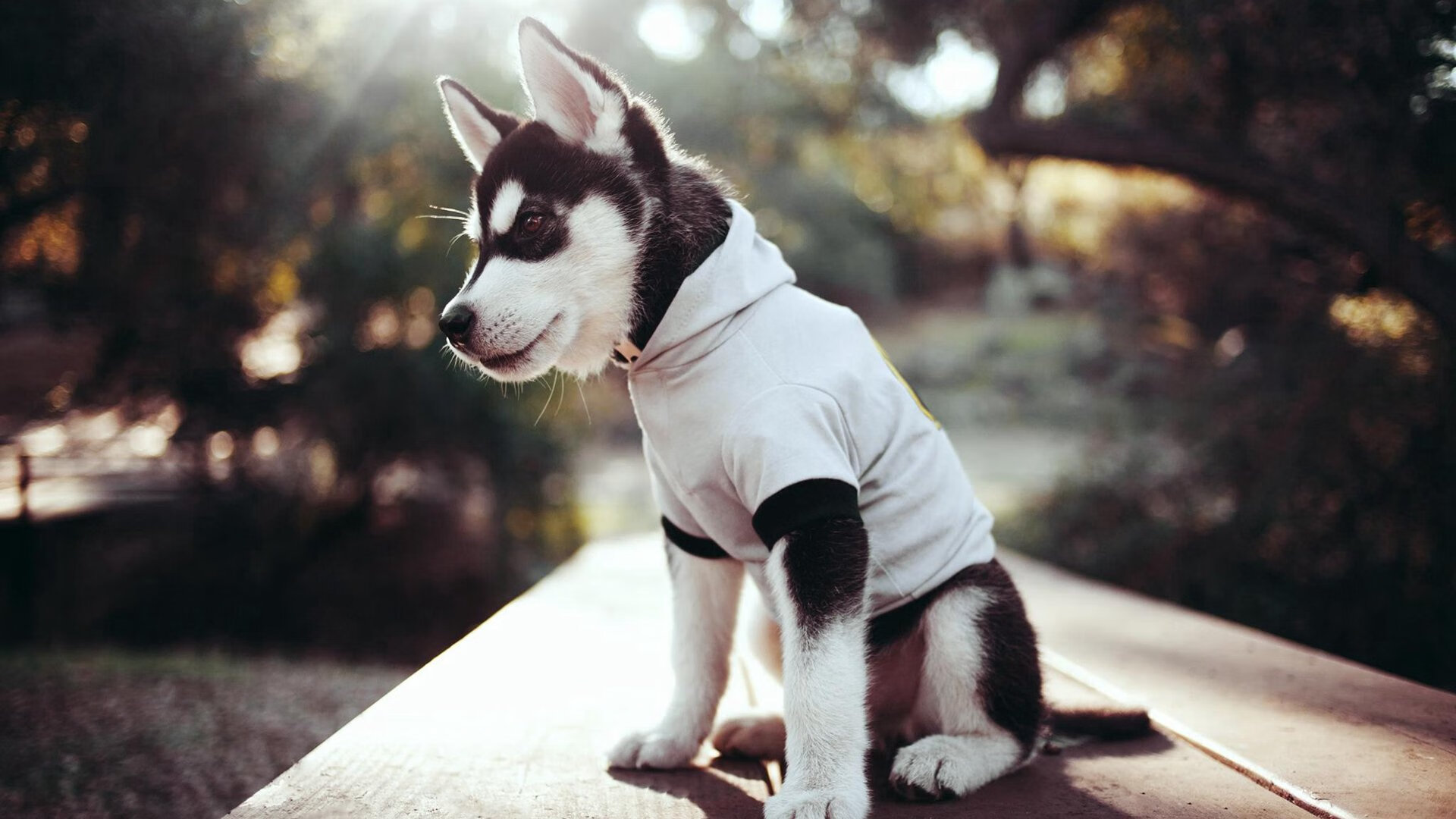 乐鱼（LEYU）体育-多国签署合作协议，推动足球青训国际交流不断深化，足球青训合同一般签几年