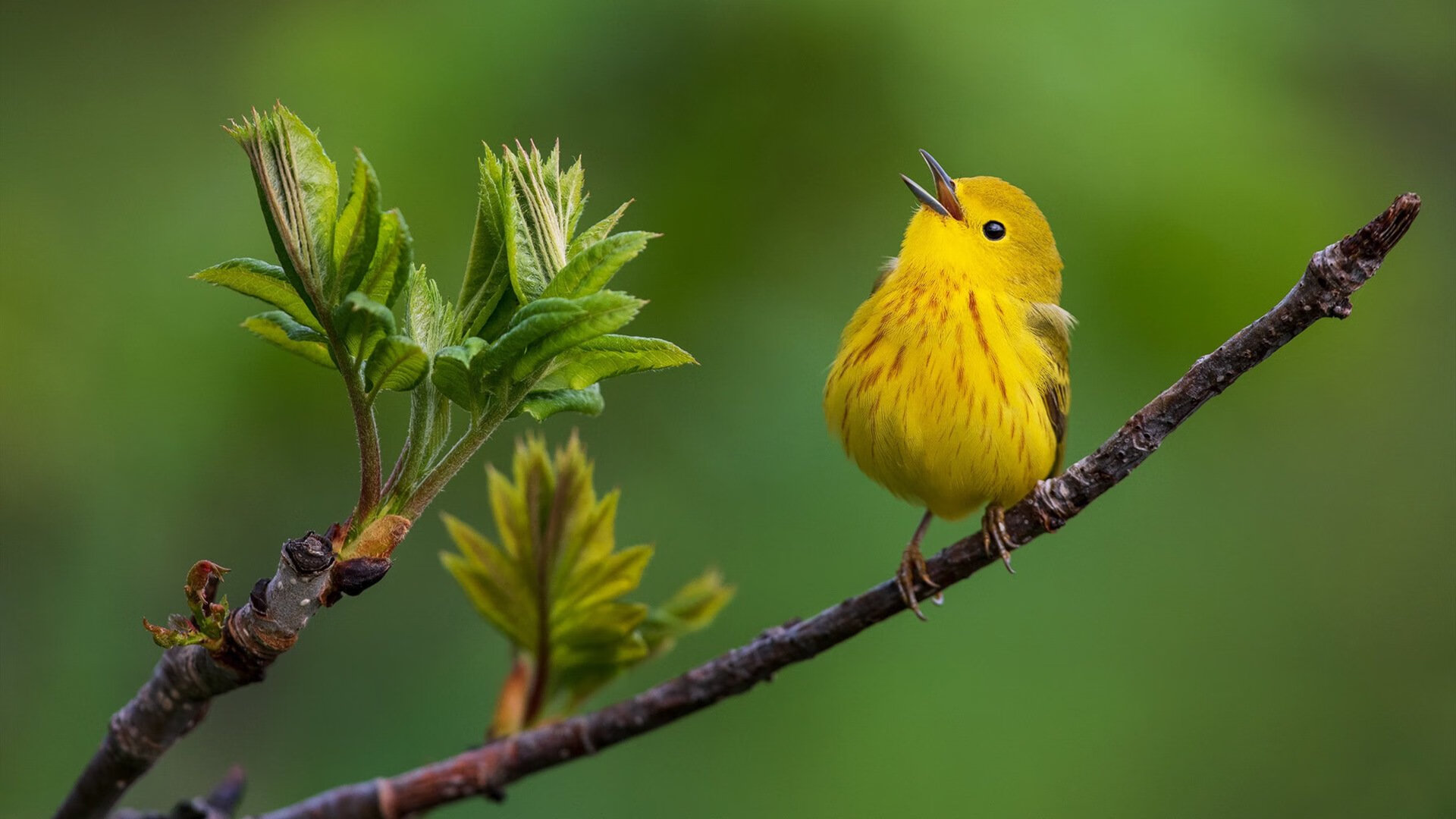 数据平台提升分析效率，提升数据分析能力心得体会