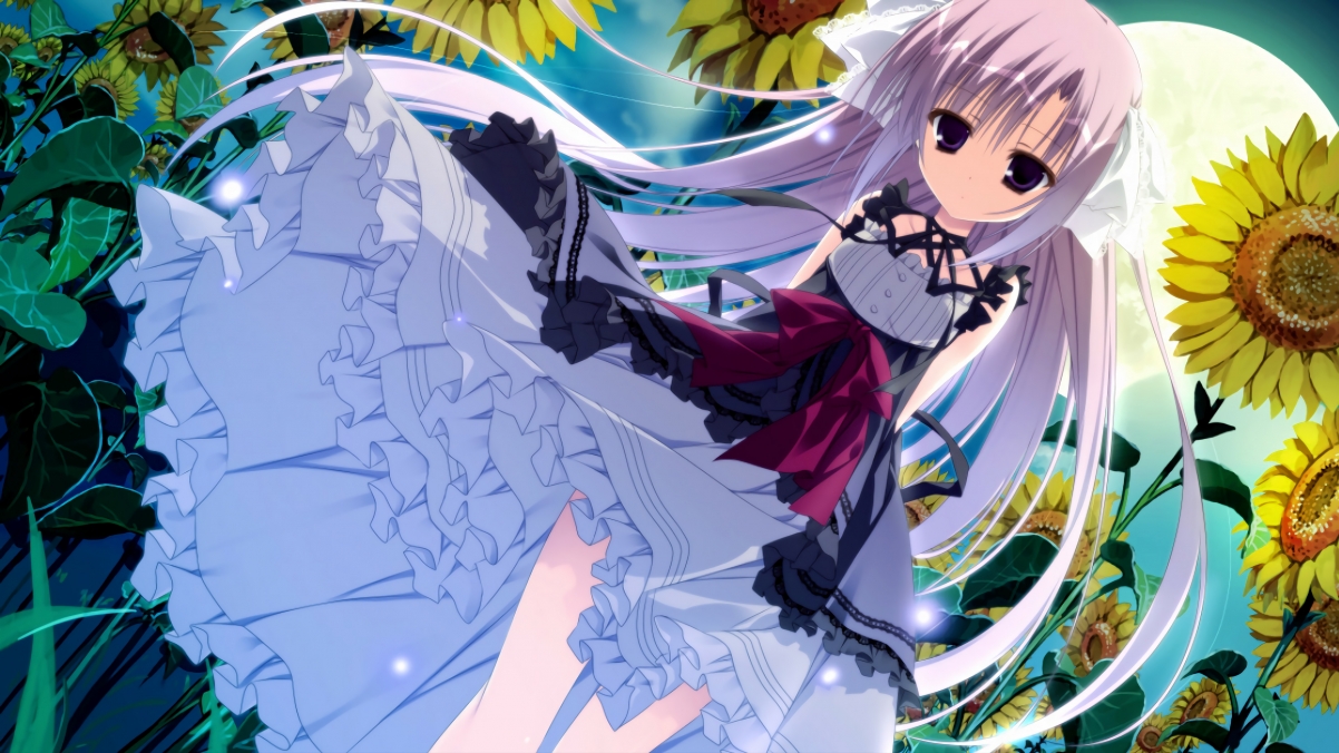 鹈鹕公布赛季旅程日程大图，鹈鹕上赛季球员名单