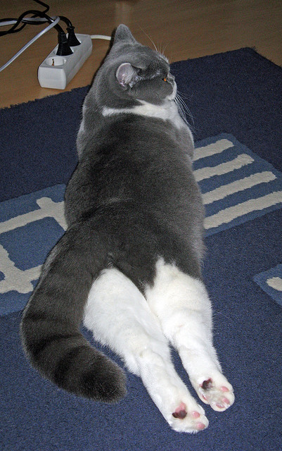 乐鱼（LEYU）体育-中国国家队备战世界杯展现新风貌，中国国家队2022世界杯预选赛