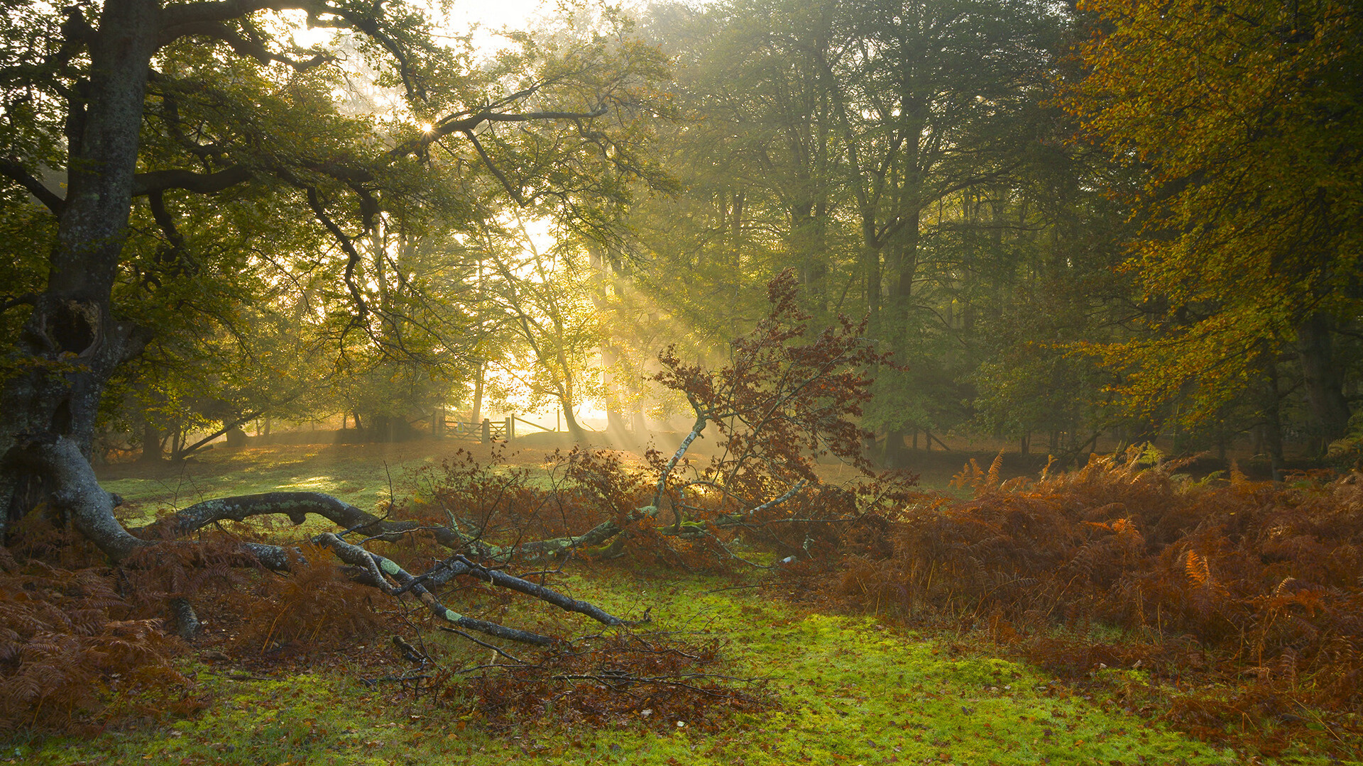 乐鱼电竞· (中国)官方网站-体育新闻中心助力体育赛事IP品牌塑造路径，体育赛事品牌打造