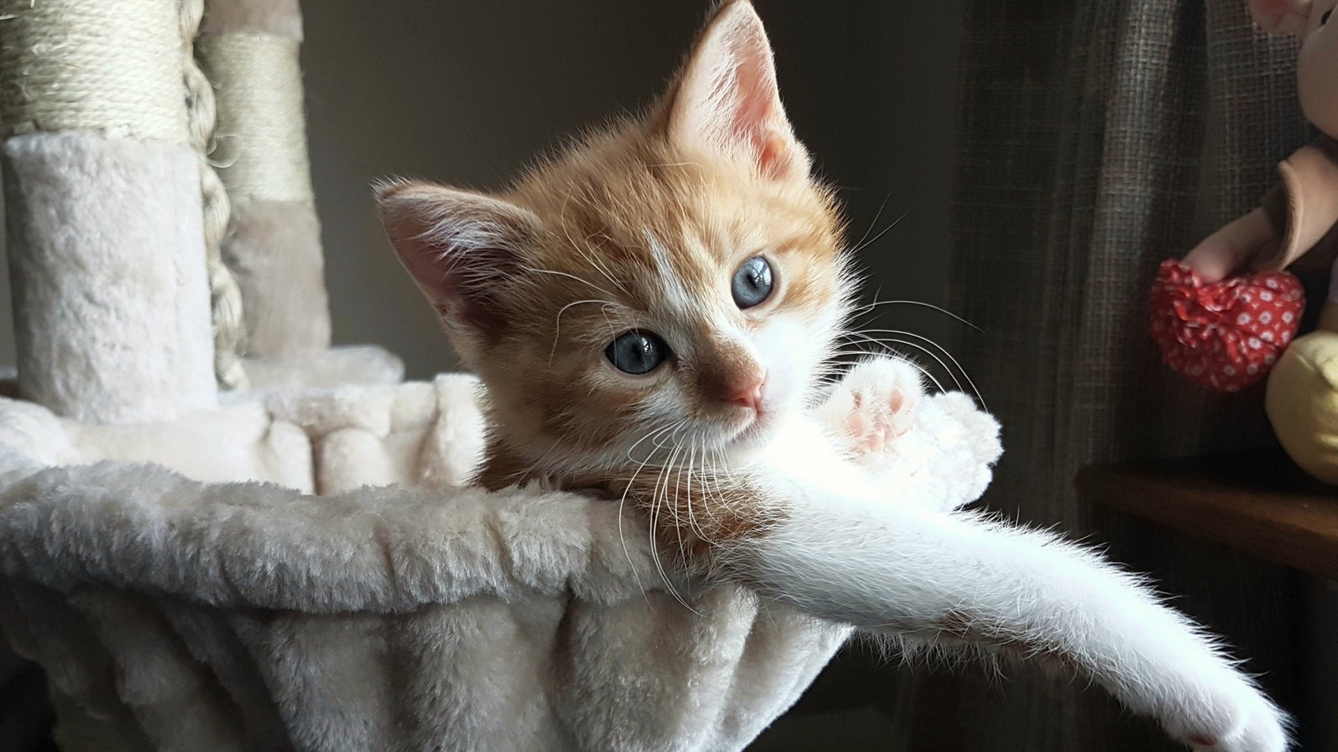 俱乐部与医院合作 建立专项医学支持通道,医学俱乐部英文