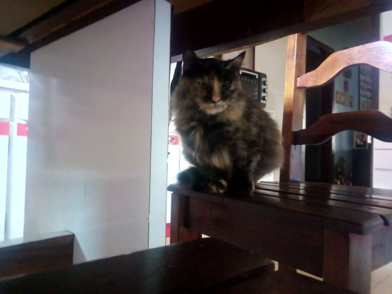 凯恩重返热刺,顶薪待遇创造新纪录,凯恩在热刺多久了