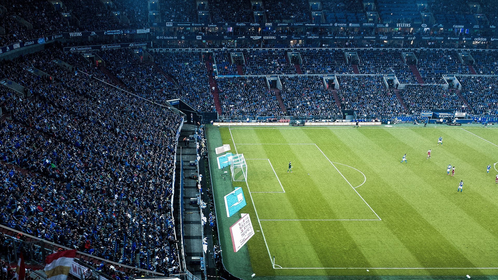 世界游泳锦标赛：张雨霏蝶泳双冠入账 中国队奖牌榜高居前列